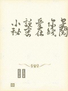 小说爱你是绝对秘密在线阅读