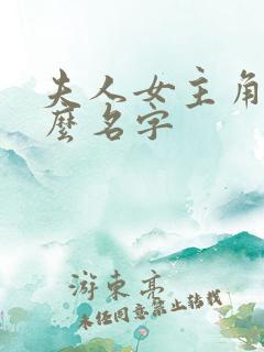 夫人女主角叫什么名字