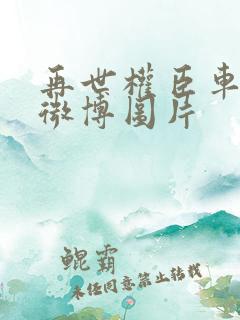再世权臣车合集微博图片