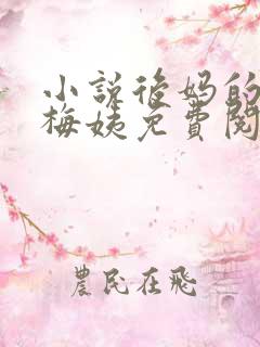 小说后妈的闺蜜梅姨免费阅读