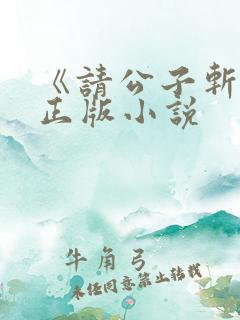 《请公子斩妖》正版小说