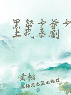 黑帮少爷少爷爱上我泰剧
