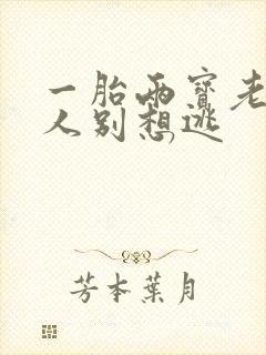 一胎两宝老婆大人别想逃