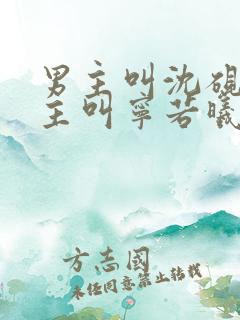 男主叫沈砚舟女主叫宁若曦的小说