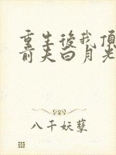 重生后我顶替了前夫白月光原著作者