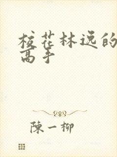 校花林逸的贴身高手
