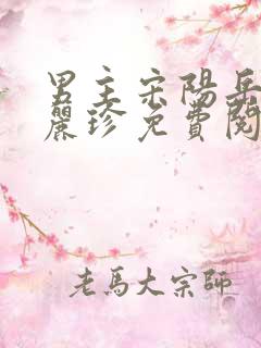 男主宋阳岳母陈丽珍免费阅读