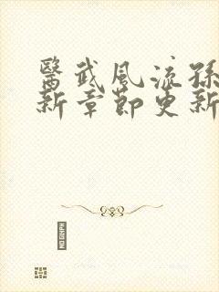 医武风流孙哲最新章节更新