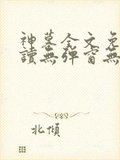 神墓全文免费阅读无弹窗无广告