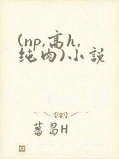 (np,高h,纯肉)小说