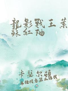 龙影战王叶军浪苏红袖
