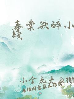 春棠欲醉小说在线
