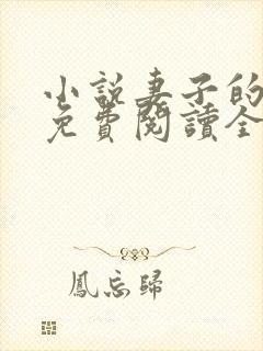 小说妻子的秘密免费阅读全文