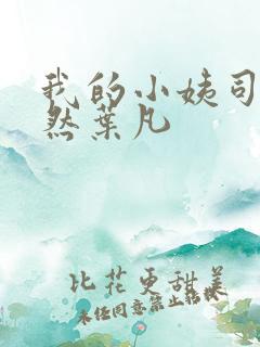我的小姨司空嫣然叶凡