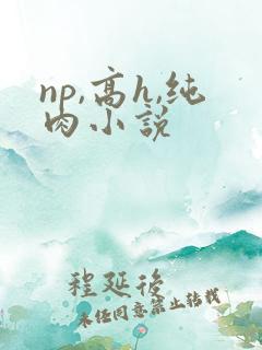 np,高h,纯肉小说