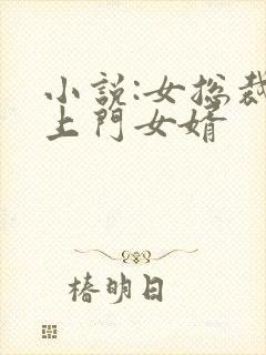 小说:女总裁的上门女婿