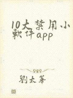 10大禁用小说软件app