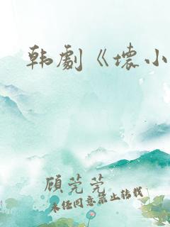 韩剧《坏小子》