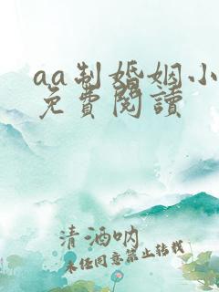 aa制婚姻小说免费阅读