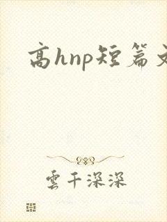 高hnp短篇文
