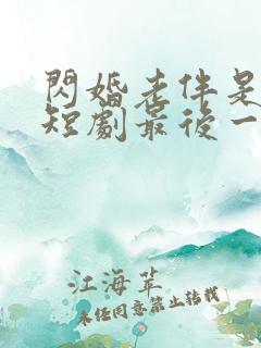 闪婚老伴是豪门短剧最后一集
