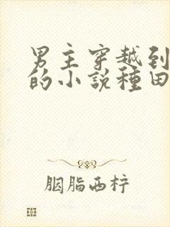 男主穿越到古代的小说种田文