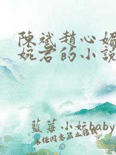 陈斌赵心媚和高婉君的小说免费阅读