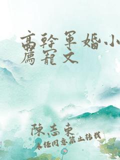 高干军婚小说推荐宠文