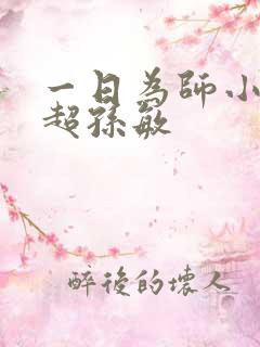 一日为师小说刘超孙敏