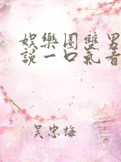 娱乐圈双男主小说一口气看完