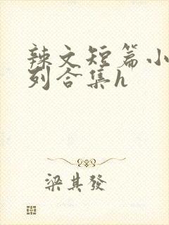 辣文短篇小说系列合集h