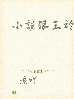 小说狠王于枫