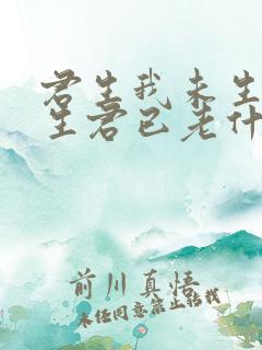君生我未生,我生君已老什么意思