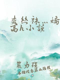 爽丝袜…娇妻快高h小说