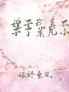 嫂子我真不是傻子了叶凡小说离线下载