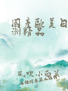 国产欧美日韩亚洲精品