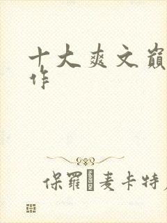 十大爽文巅峰之作