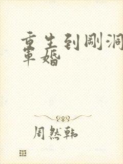 重生到刚洞房的军婚