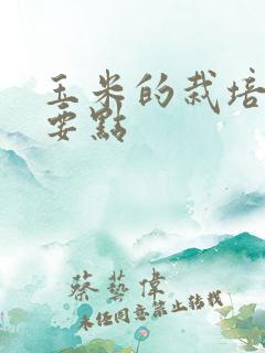 玉米的栽培技术要点