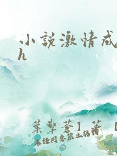 小说激情成人高h