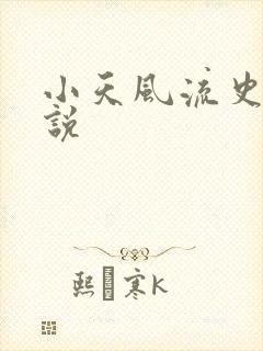小天风流史 小说