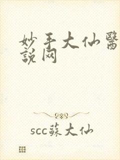 妙手大仙医 小说网