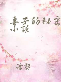 妻子的秘密小说小说