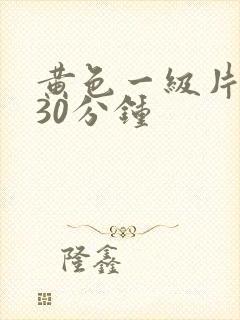 黄色一级片试看30分钟