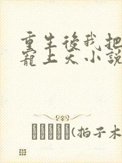 重生后我把前夫宠上天小说