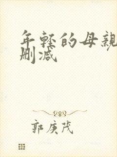 年轻的母亲5未删减