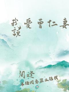 我爱曹仁妻的小说
