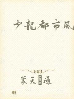 少龙都市风流行