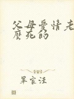 父母爱情老丁怎么死的