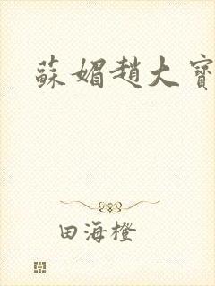 苏媚赵大宝赵勇